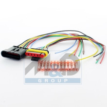 PIECES POUR SYSTEMES DE GESTION MOTEUR